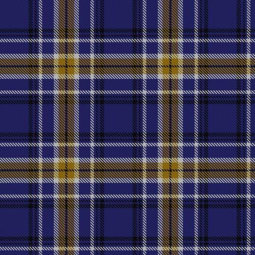 California Riverside University Tartan Plaid Scarf - Classic College Style for Alumni, Students & Fans - Perfect for School Events, Gameday & Casual Wear
