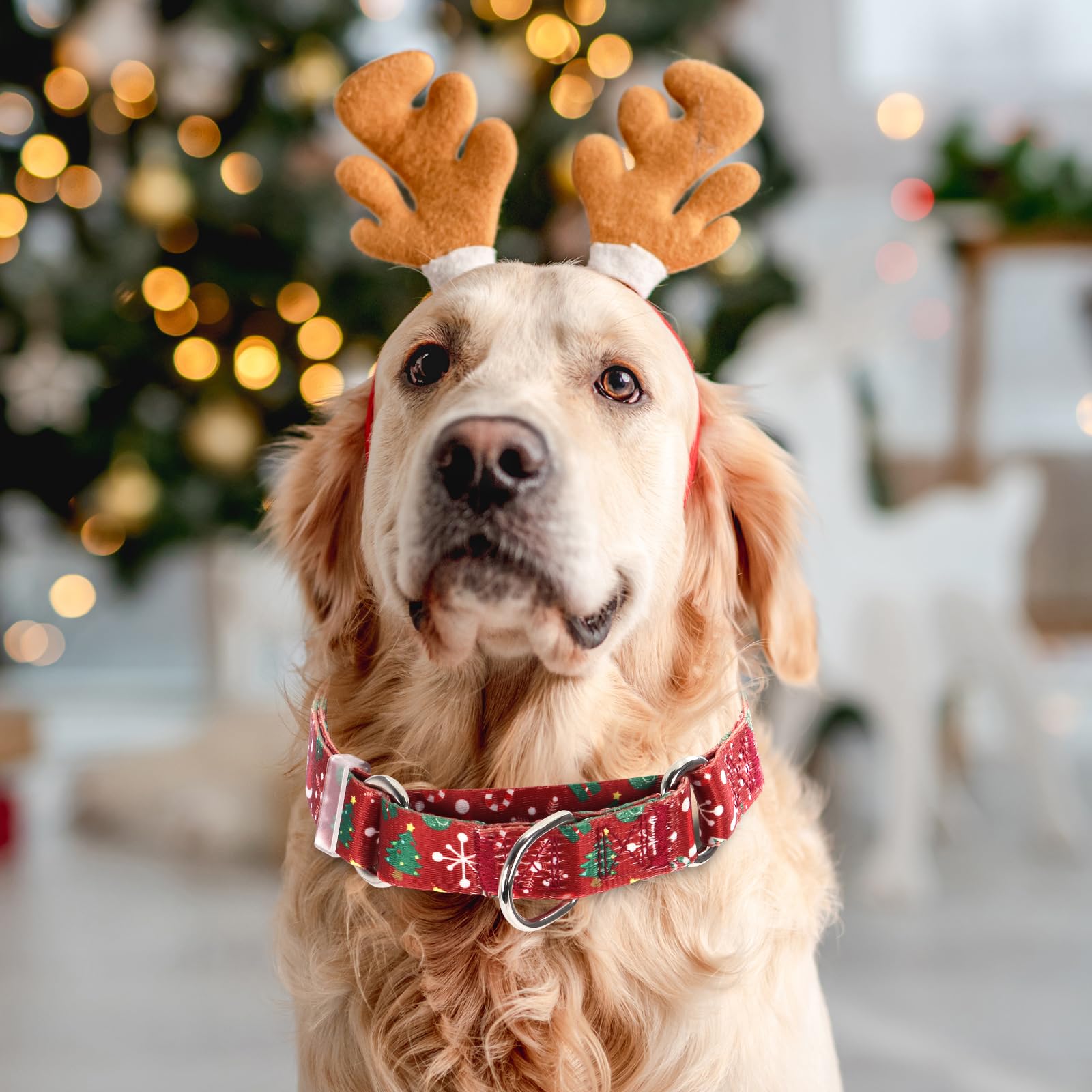 Christmas Dog Collar with Red Christmas Trees - Adjustable Nylon Martingale Collar for Small Medium Large Dogs | No-Slip Premium Pet Collar for Holiday Walks & Festive Outings