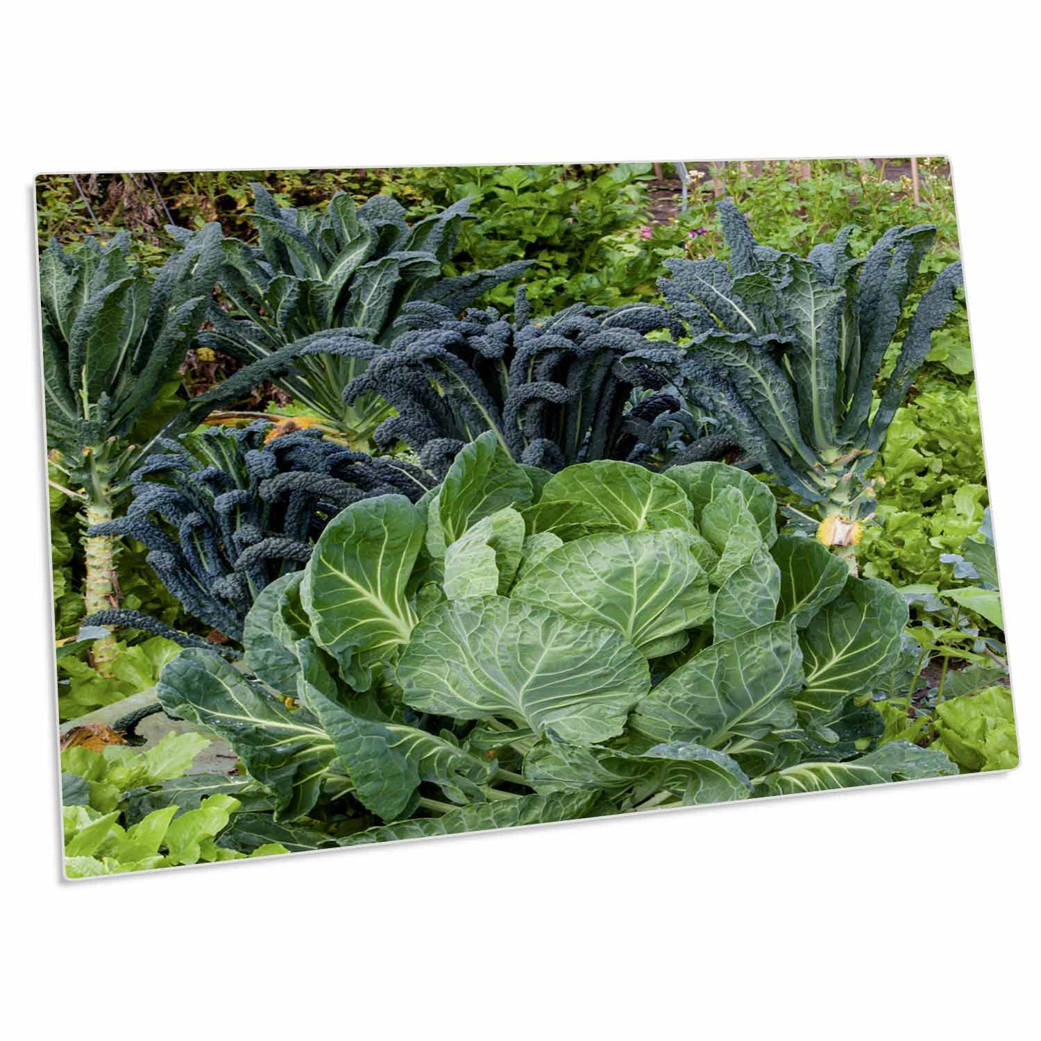 3D Rose Cabbage and Kale in a Neighborhood Garden - Non-Slip Desk Pad Placemats Set of 4, 12x18 Inch Waterproof Place Mats for Dining Table, Kitchen Decor, and Home Entertaining