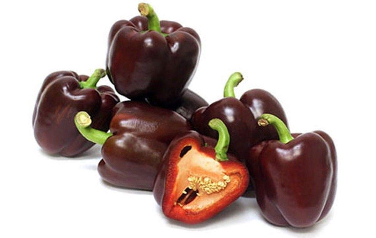 Organic Mini Chocolate Sweet Bell Pepper Seeds - Non-GMO, Heirloom Variety for Home Garden, Salads, Stuffing & Cooking (100 Seeds) | Perfect for Container Gardening, Urban Farming & Healthy Recipes