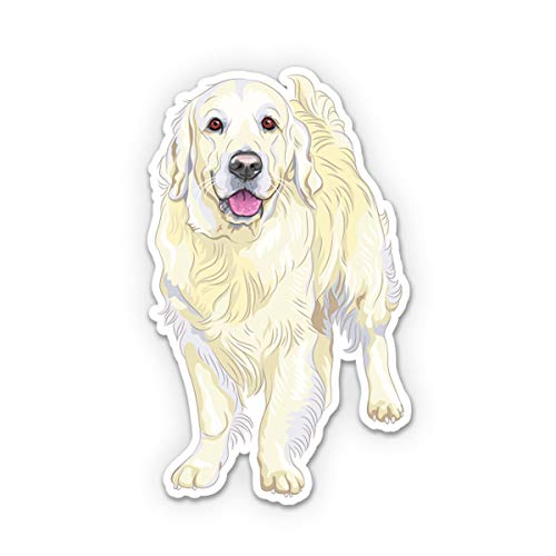 Golden Retriever 3
