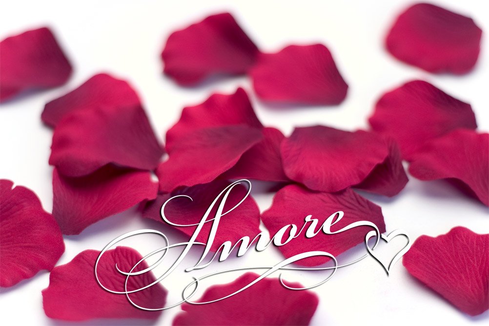 200 Burgundy Silk Rose Petals for Wedding Decor - 2 Inch Wide Artificial Flower Petals for Aisle, Table Scatter & Romantic Events