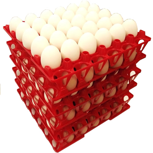 96 Pack of Rite Farm 30-Count Chicken Egg Plastic Trays - Durable Egg Cartons for Poultry Farms, Farmers Markets & Home Chicken Coops