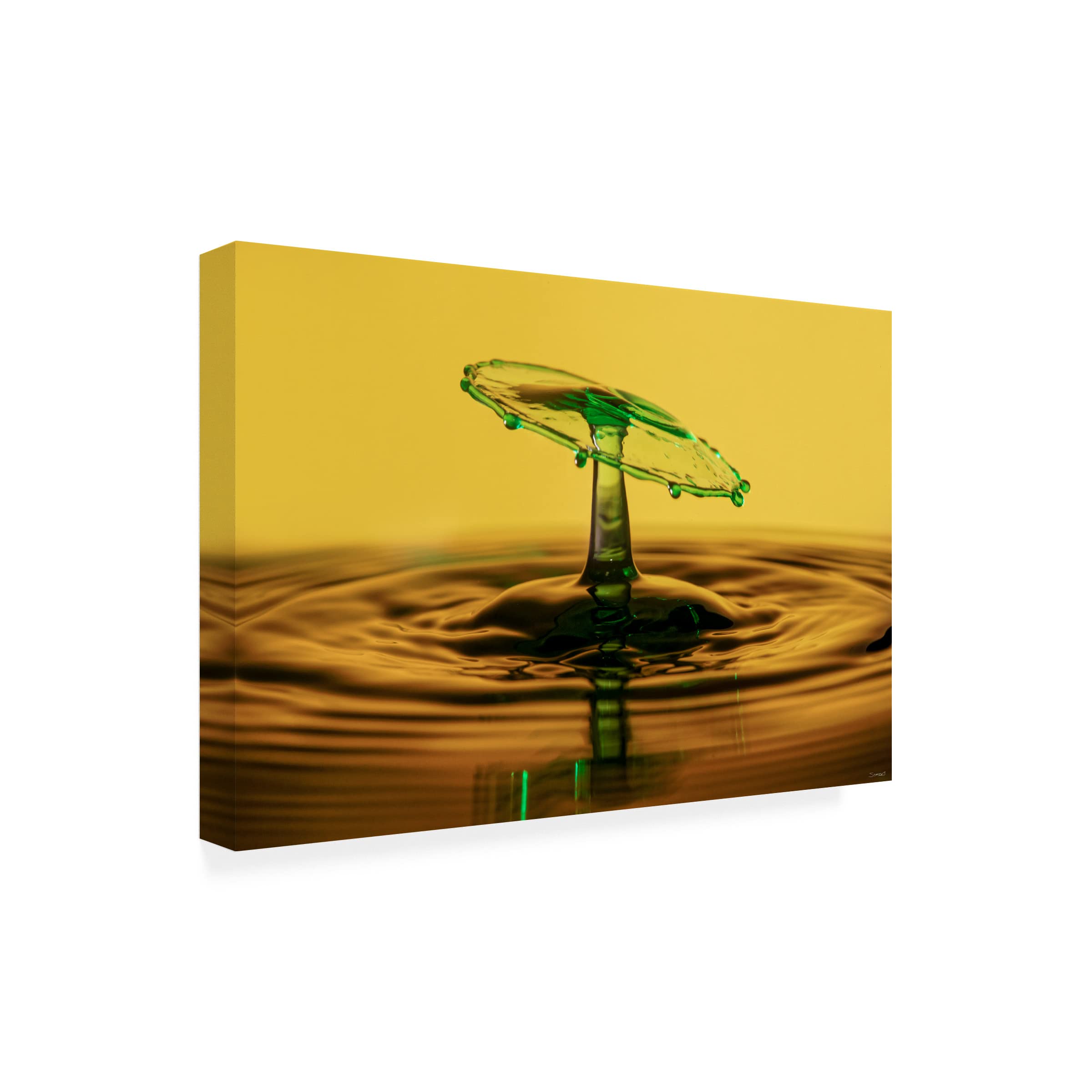 Gordon Semmens 'Liquid Splash 01' Abstract Canvas Wall Art Print - 16x24 Inches, Modern Home & Office Decor for Living Room, Bedroom