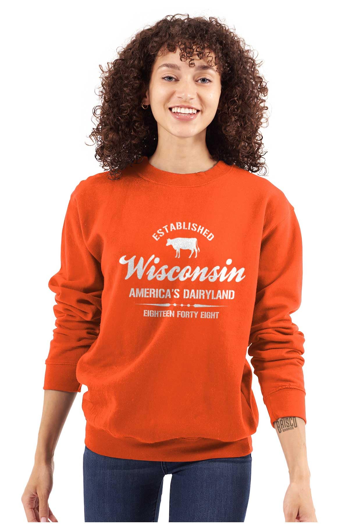 Classic Teaze Wisconsin America's Dairyland State Sweatshirt for Men & Women - Comfortable Unisex Pullover for College, Travel & Casual Wear
