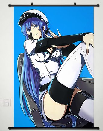 Anime Esdeath 052 S Wall Scroll Poster - High Quality Fabric Painting for Home & Office Decor | Perfect Gift for Anime Fans & Collectors