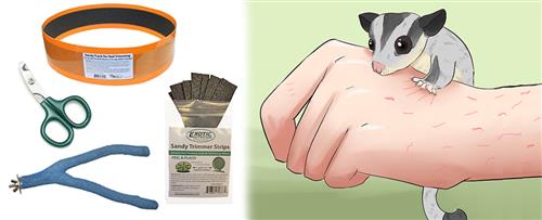 Sandy Trimmer Strips - Professional Hair Trimming Strips for Precise Edging & Styling - Perfect for Barbers, Stylists & Home Use
