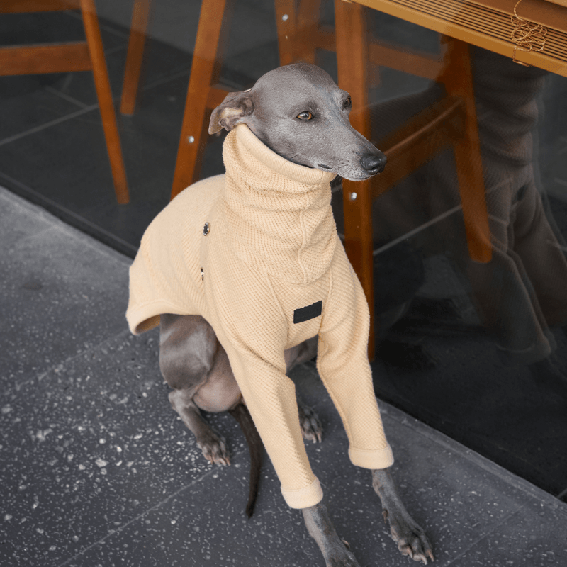 Hampton Sweater for Women & Men - Cozy Knit Pullover for Fall & Winter - Perfect for Casual Wear, Office, and Outdoor Activities