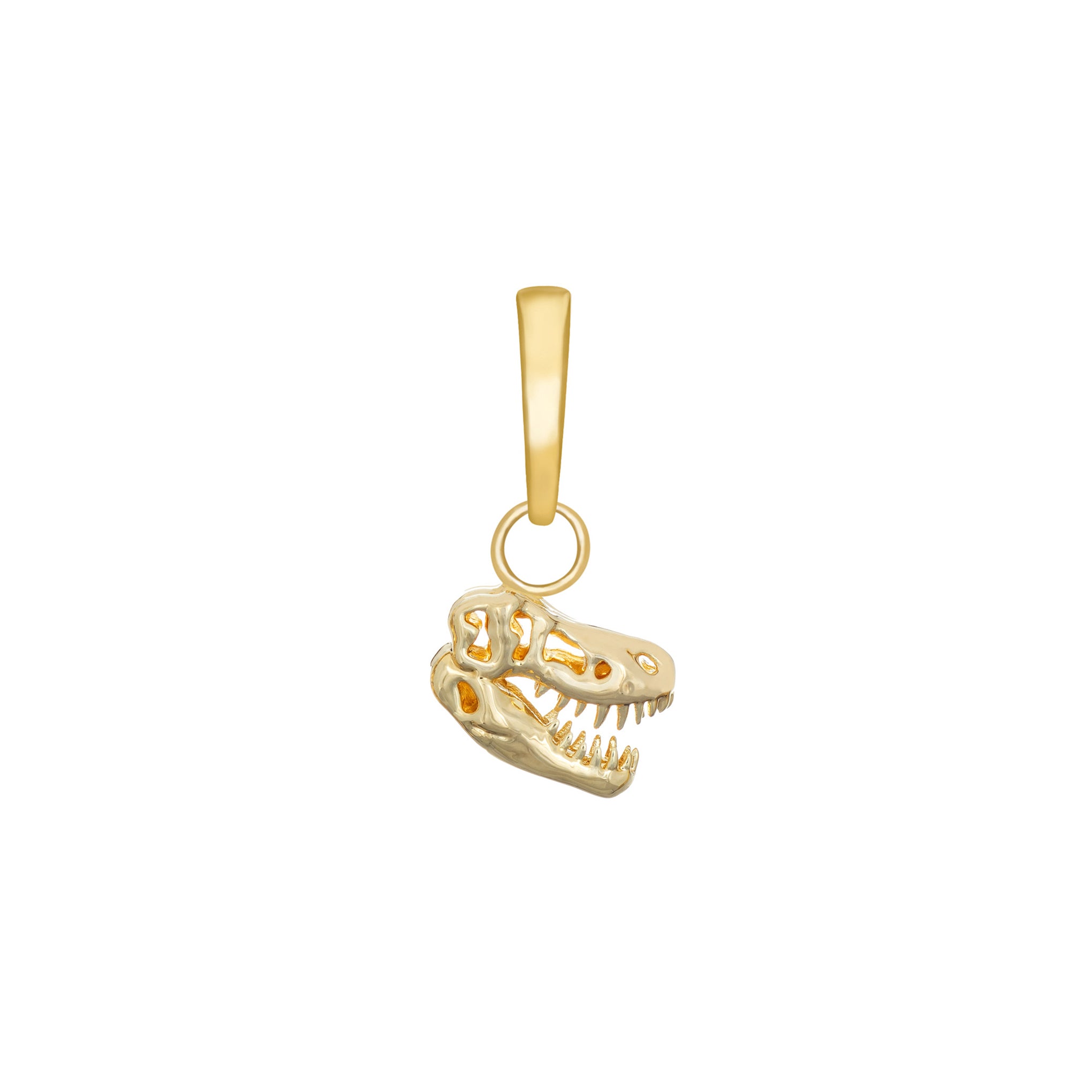 T-Rex Skull Charm Pendant Necklace - Dinosaur Fossil Jewelry for Men & Women - Perfect for Halloween, Cosplay, and Gothic Fashion Accessories