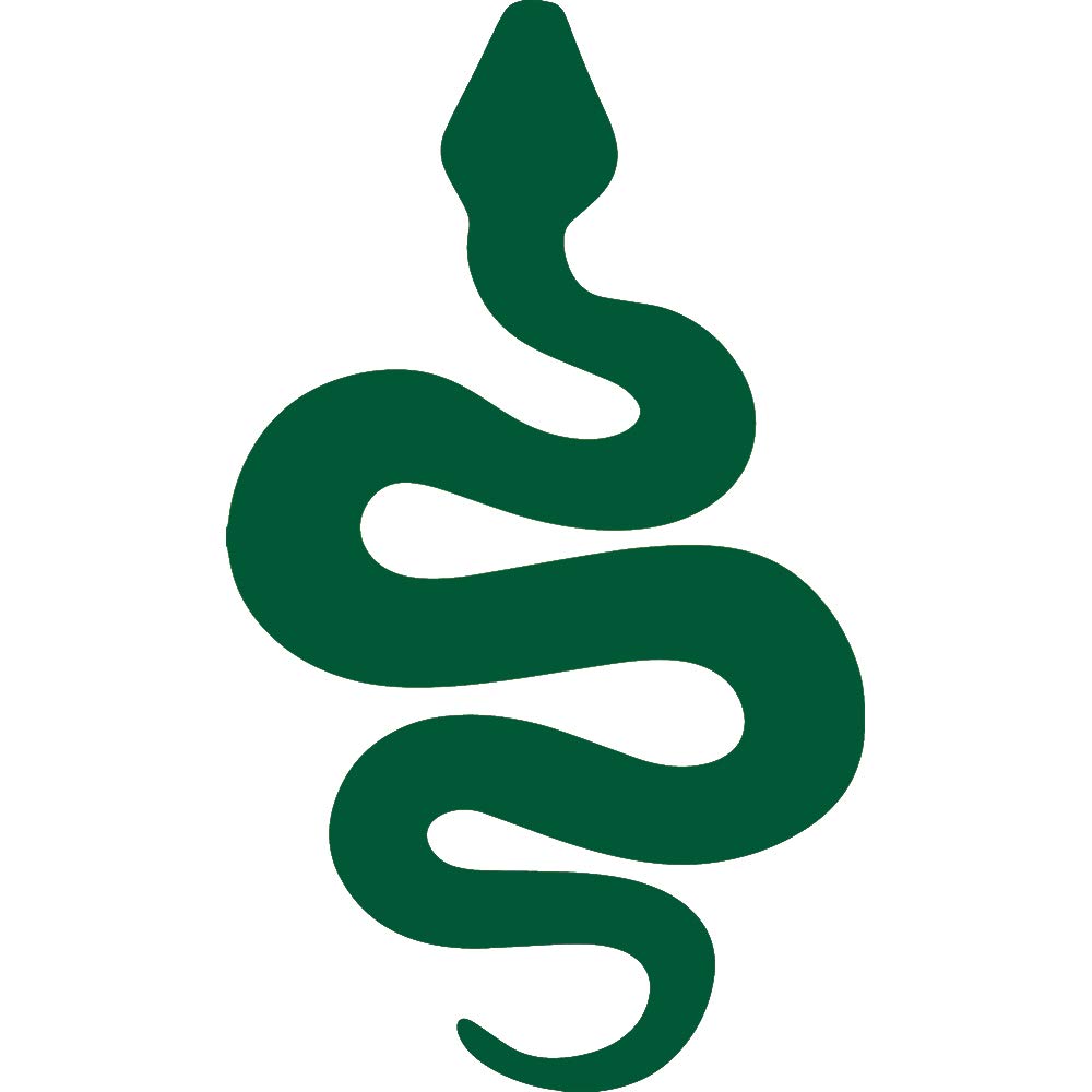 Premium Waterproof Vinyl Decal Stickers - Snake Silhouette Design (Green, Set of 2) for Laptop, Phone, Helmet, Car Window, Bumper, Mug, Cup, Door & Wall Decoration - Perfect for Home, Office & Outdoor Use