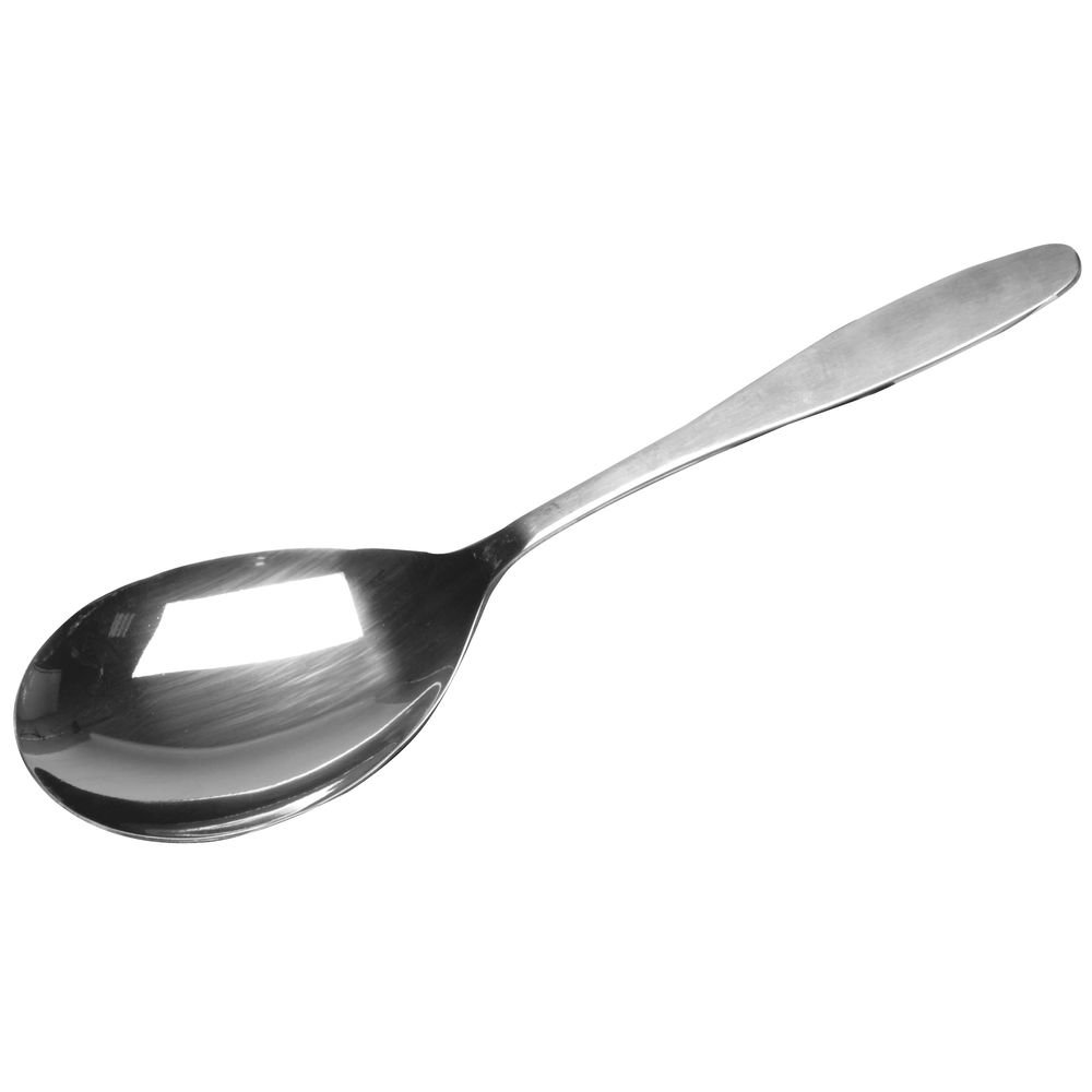 Dexter Outdoors 9-Inch Stainless Steel Fruit and Vegetable Serving Spoon - Perfect for Picnics, BBQs, and Outdoor Dining