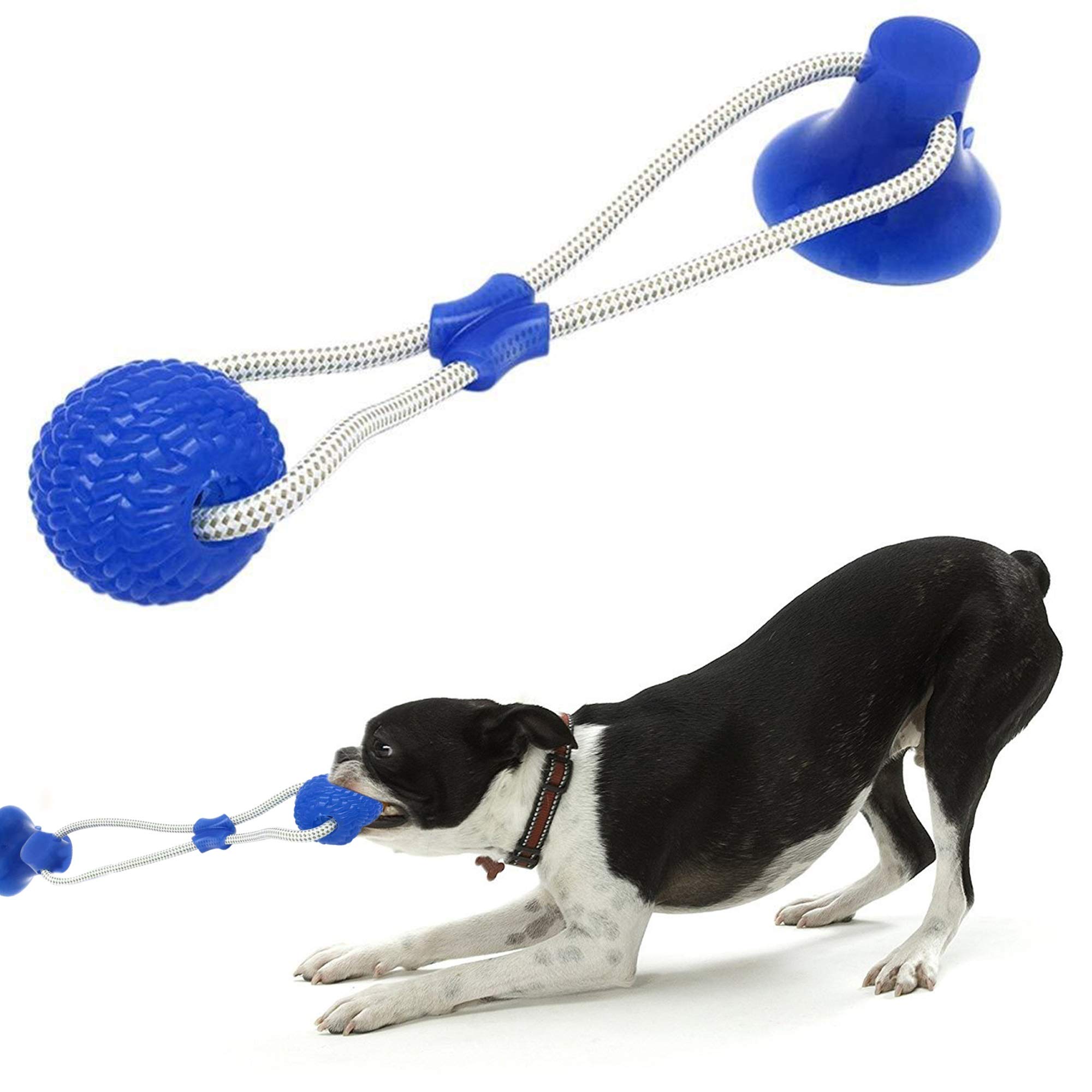 SMART DOG Suction Cup Tug of War Dog Toy - Interactive Self-Playing Chew Toy with Durable Rubber Ball for Puppies & Dogs (Blue) - Perfect for Indoor Play, Bathroom Fun & Solo Entertainment