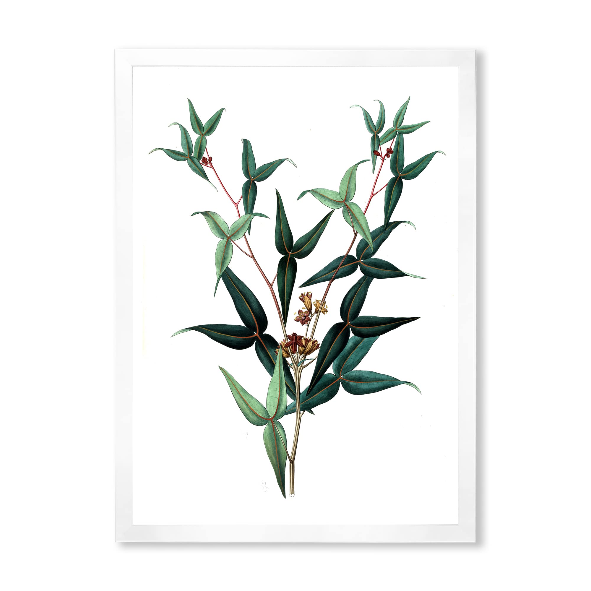 Vintage Green Leaves Plants VIII Framed Wall Art - Botanical Home Decor for Living Room, Bedroom & Office
