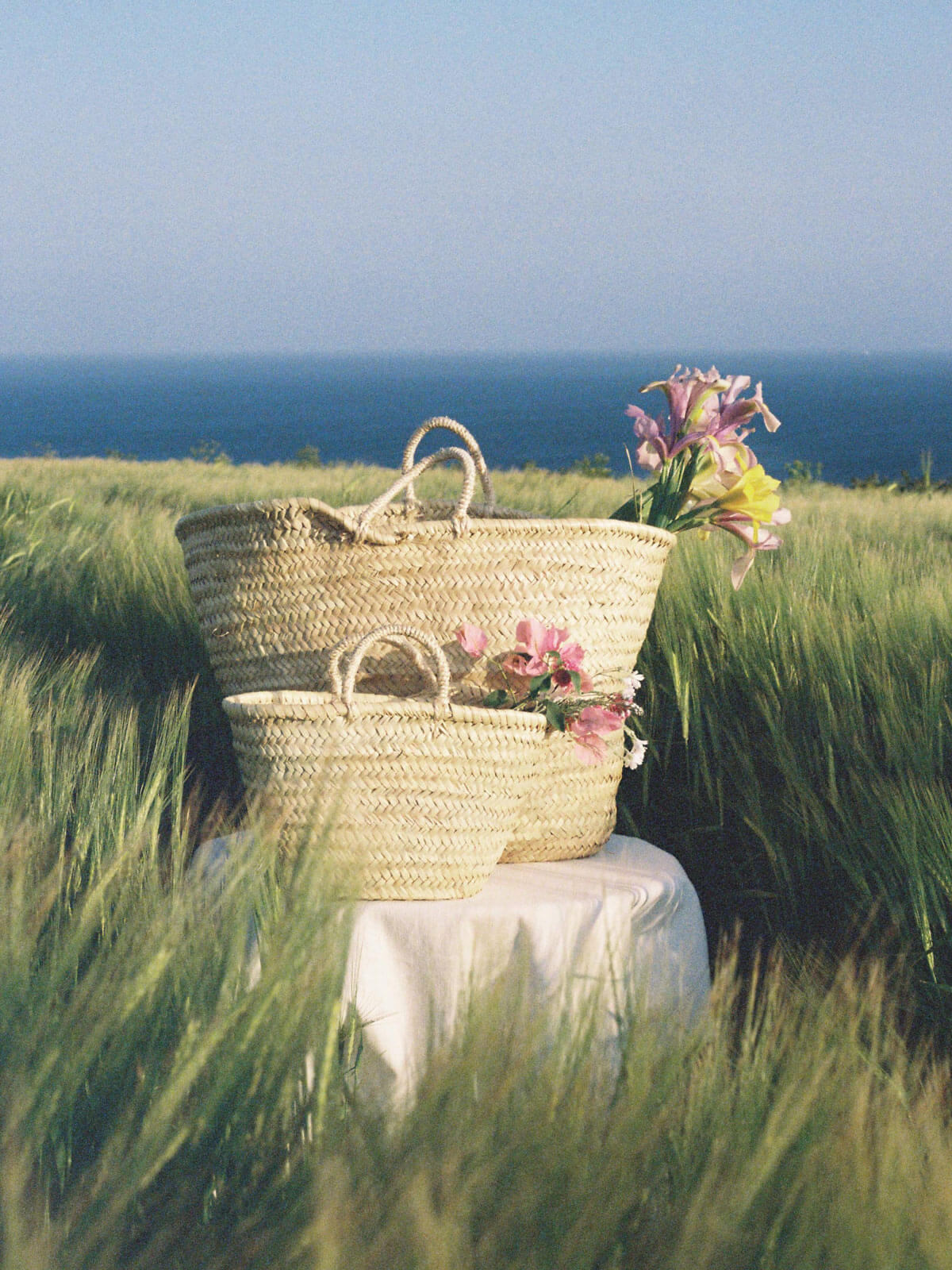 Premium Market Basket - Durable & Stylish Grocery Shopping Basket for Farmers Market, Picnics, and Home Storage | Eco-Friendly & Lightweight