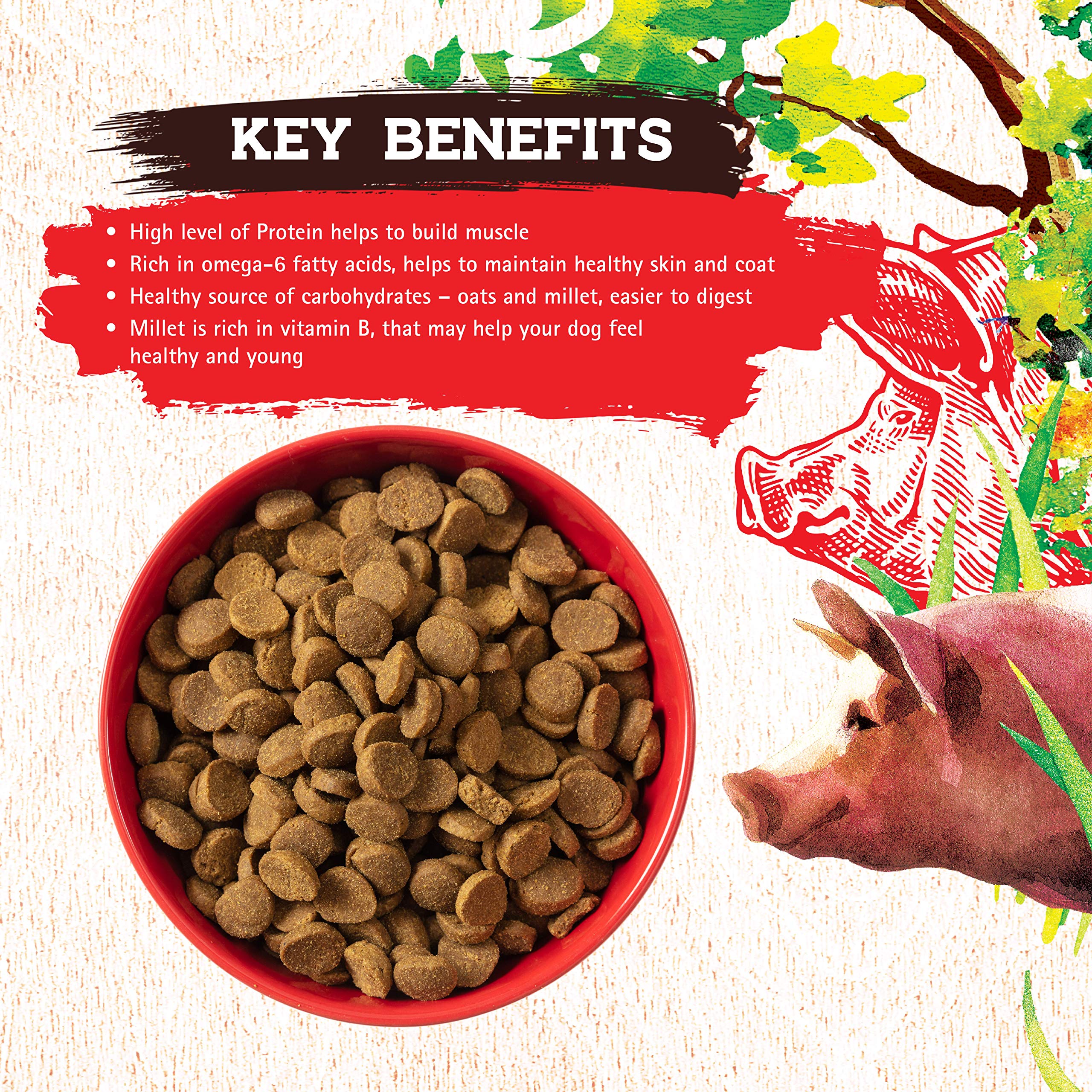 Inception® Dry Dog Food Pork Recipe – Grain-Free, High-Protein, Legume-Free Kibble for Adult Dogs – Complete & Balanced Nutrition – 4 lb Bag – Ideal for Active Dogs & Sensitive Stomachs