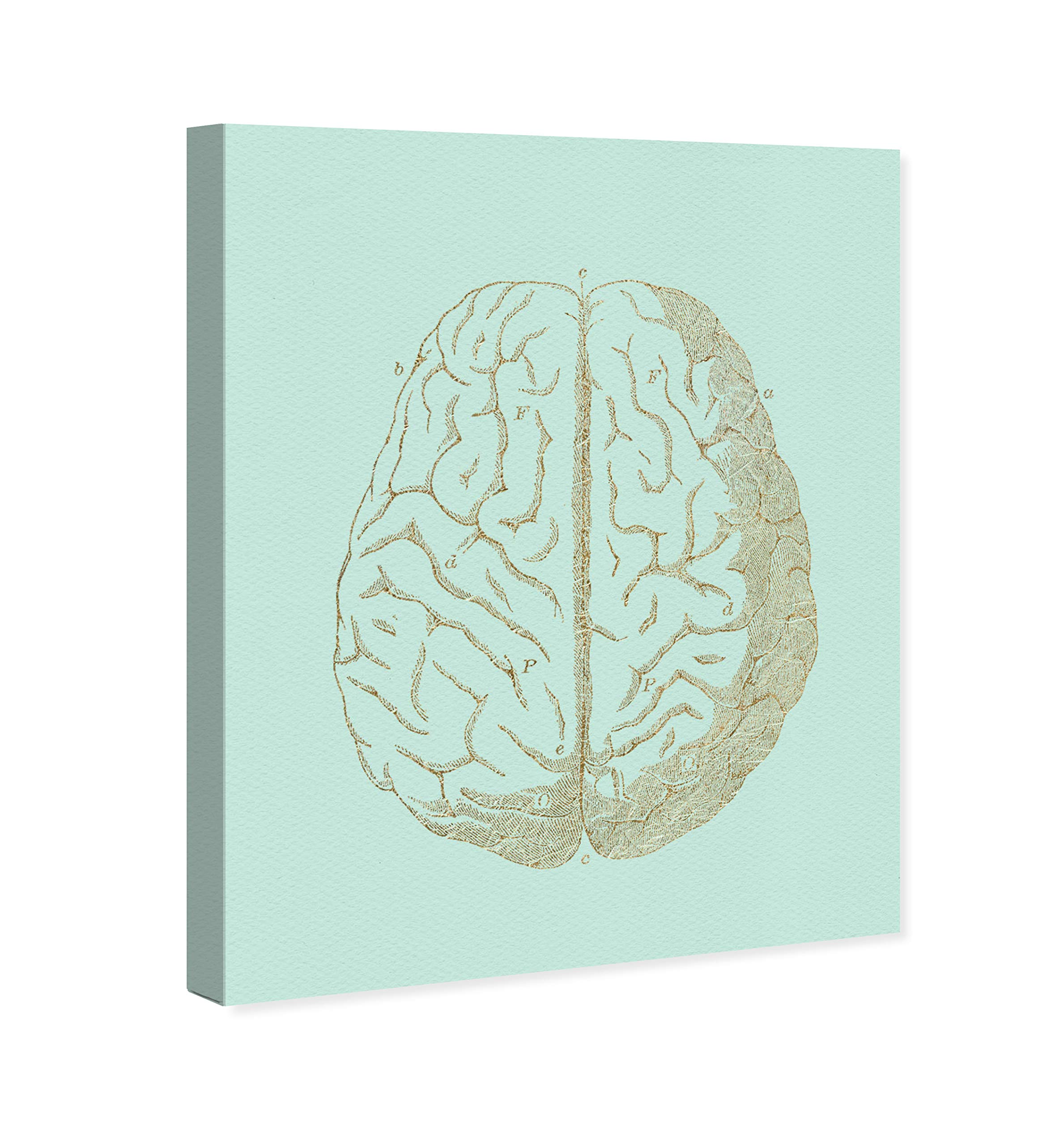 Oliver Gal Artist Co. 'Intelligence is Sexy' Canvas Wall Art Print - 36x45 Inch Green & Gold Home Decor for Office, Classroom & Library - Motivational Education Artwork