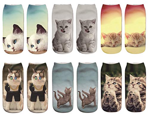 6 Pairs-cats