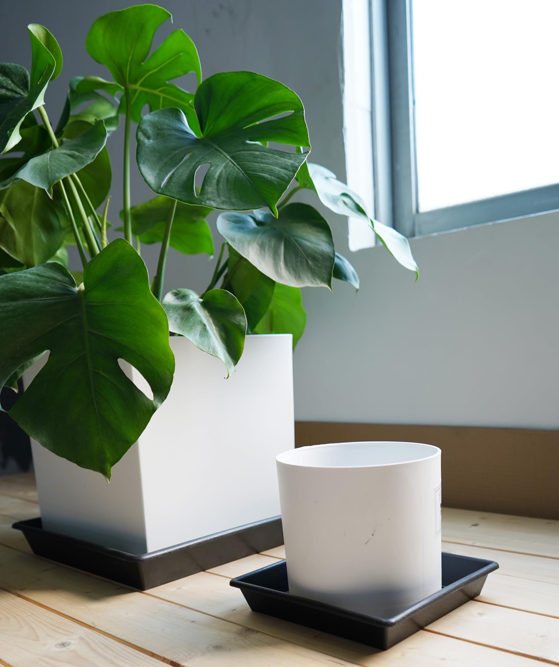 12 Inch Square Plant Saucer (2 Pack) - Heavy Duty Plastic Plant Trays for Indoor & Outdoor Pots - No Holes Drip Catcher for Flower Pots, Planters (6/8/10/12/14/16/18/20 Inch Options) - Perfect for Balcony, Patio, Garden & Home Decor