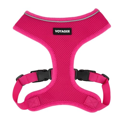 220 Style (Fuchsia)