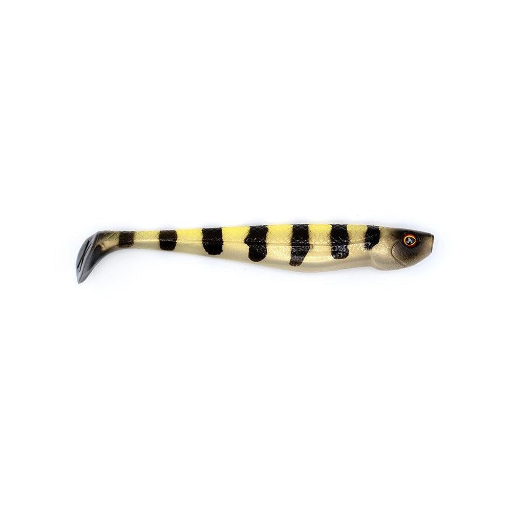 Mosquito Fish