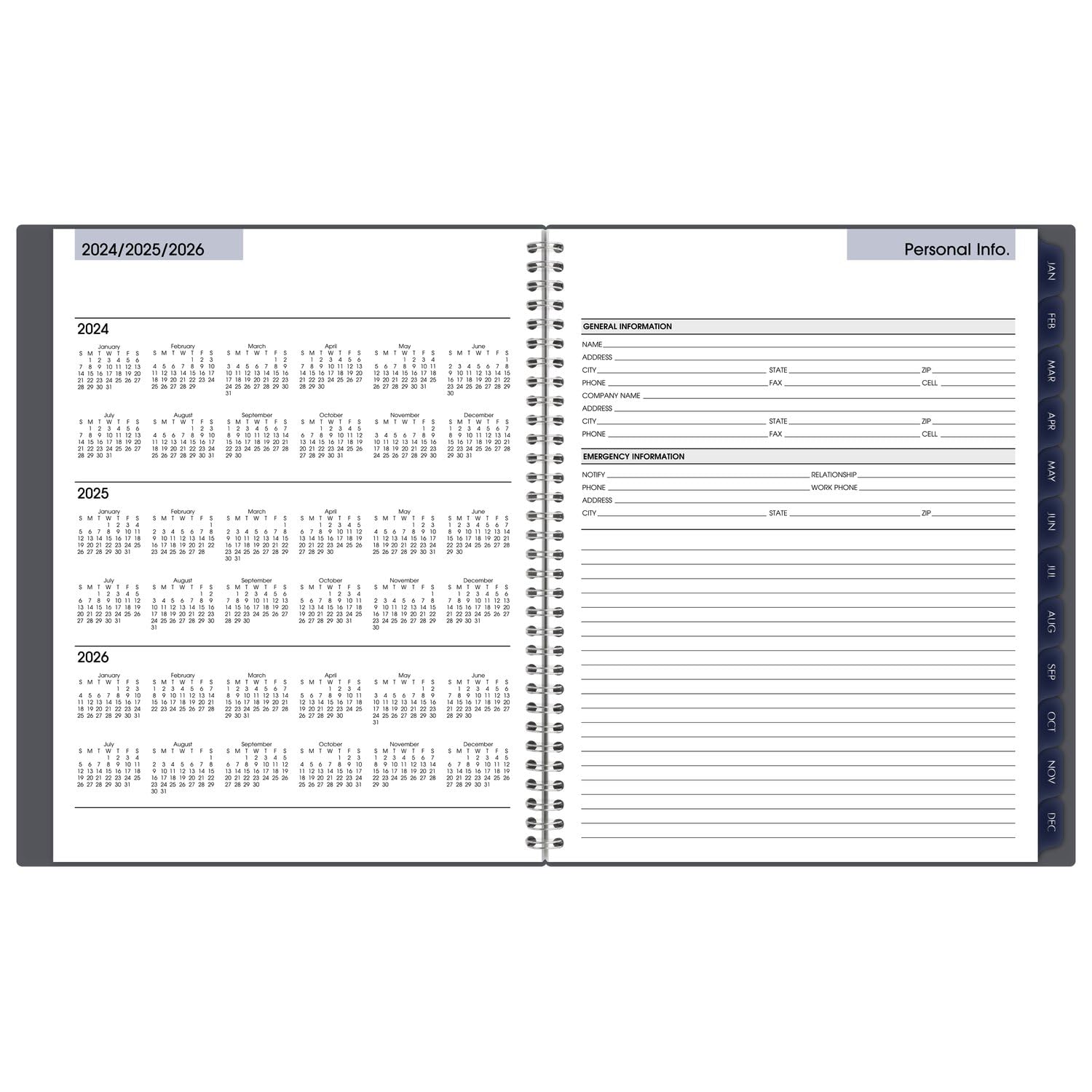 AT-A-GLANCE 2025 Weekly & Monthly Planner - 8.5