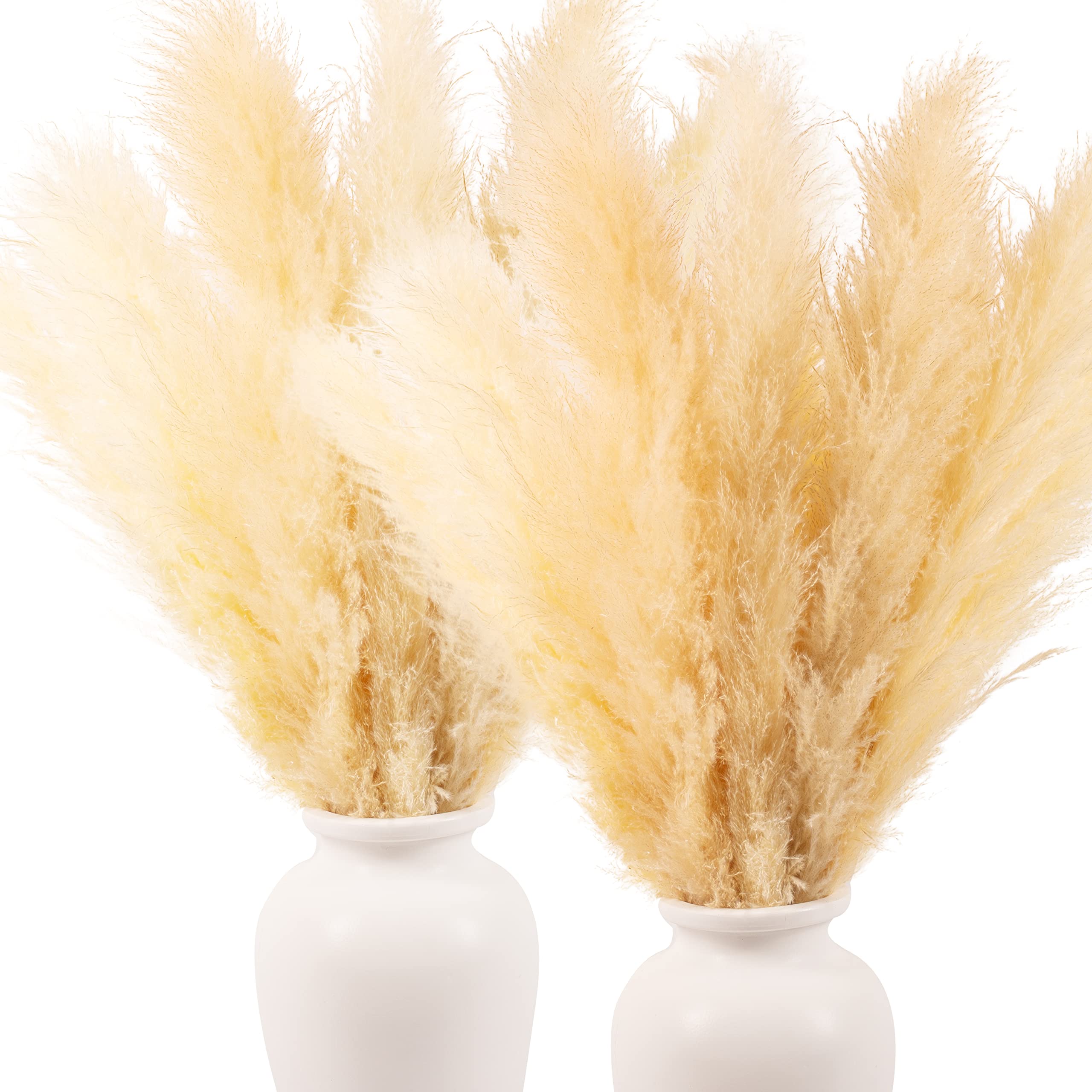 Kleantoolz 24 Tall Marigold Stems 4ft Long Large Pampas Grass - Extra Fluffy Plumes, Naturally Dried for Home Decor, Wedding, Boho Decor & Floral Arrangements | Perfect for Living Room, Bedroom & Event Centerpieces