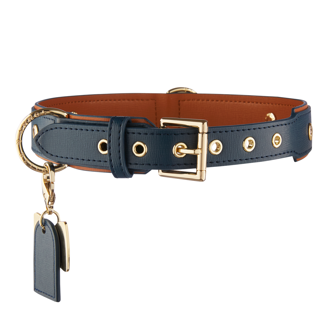 Durable Blue & Brown Dog Collar for Small Medium Large Dogs - Adjustable Pet Collar for Walking, Training & Outdoor Adventures