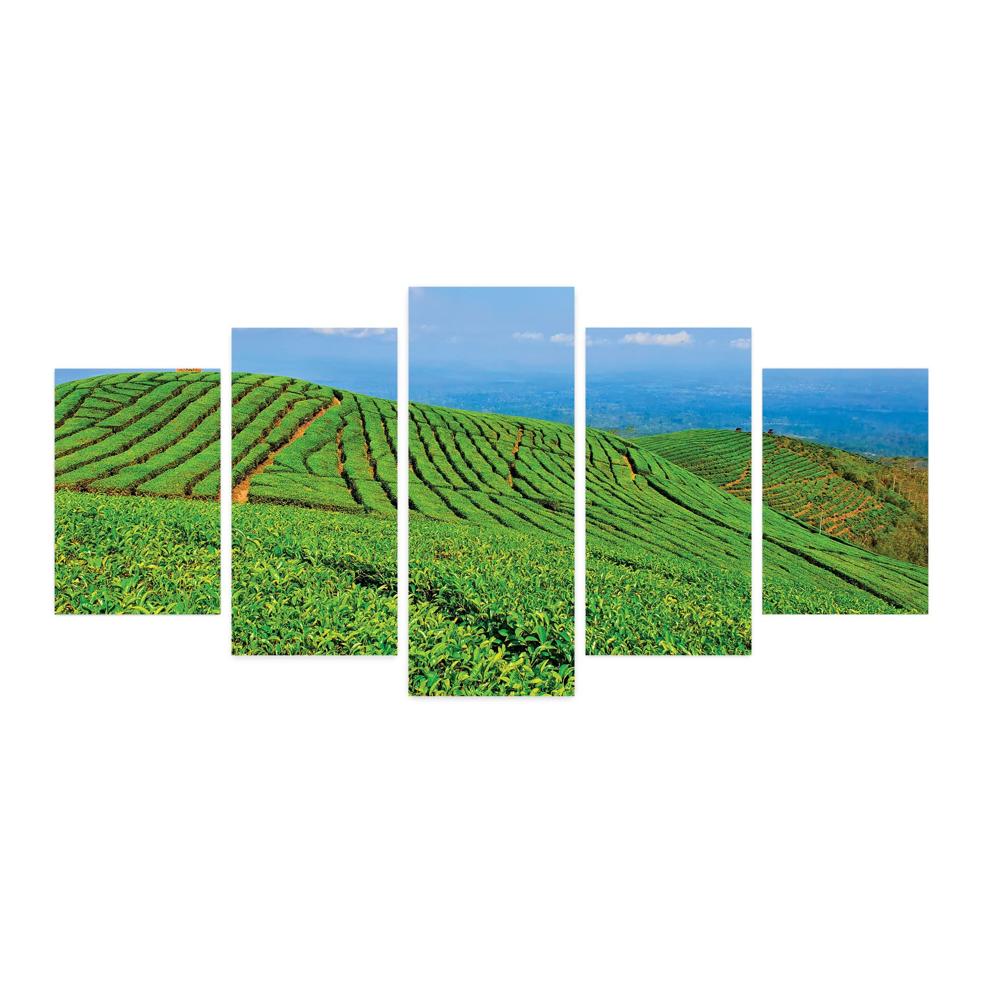 Ambesonne 5-Panel Acrylic Glass Wall Art - Traditional Tea Plantation Landscape of Java Island with Green Hills & Blue Sky, Nature Scenery Painting for Living Room, Bedroom, Dorm Decor (60x30 Inches, Lime Green & Pale Blue) | Perfect for Farmhouse, Boho & Coastal Home Decor
