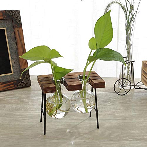 Modern Double Balls Glass Desk Vase - Hydroponic Plant Terrarium Container with Wooden Stand (Double Hang Post) - Perfect for Office Decor, Home Plants & Succulent Displays