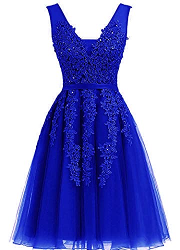 Royal Blue-0025