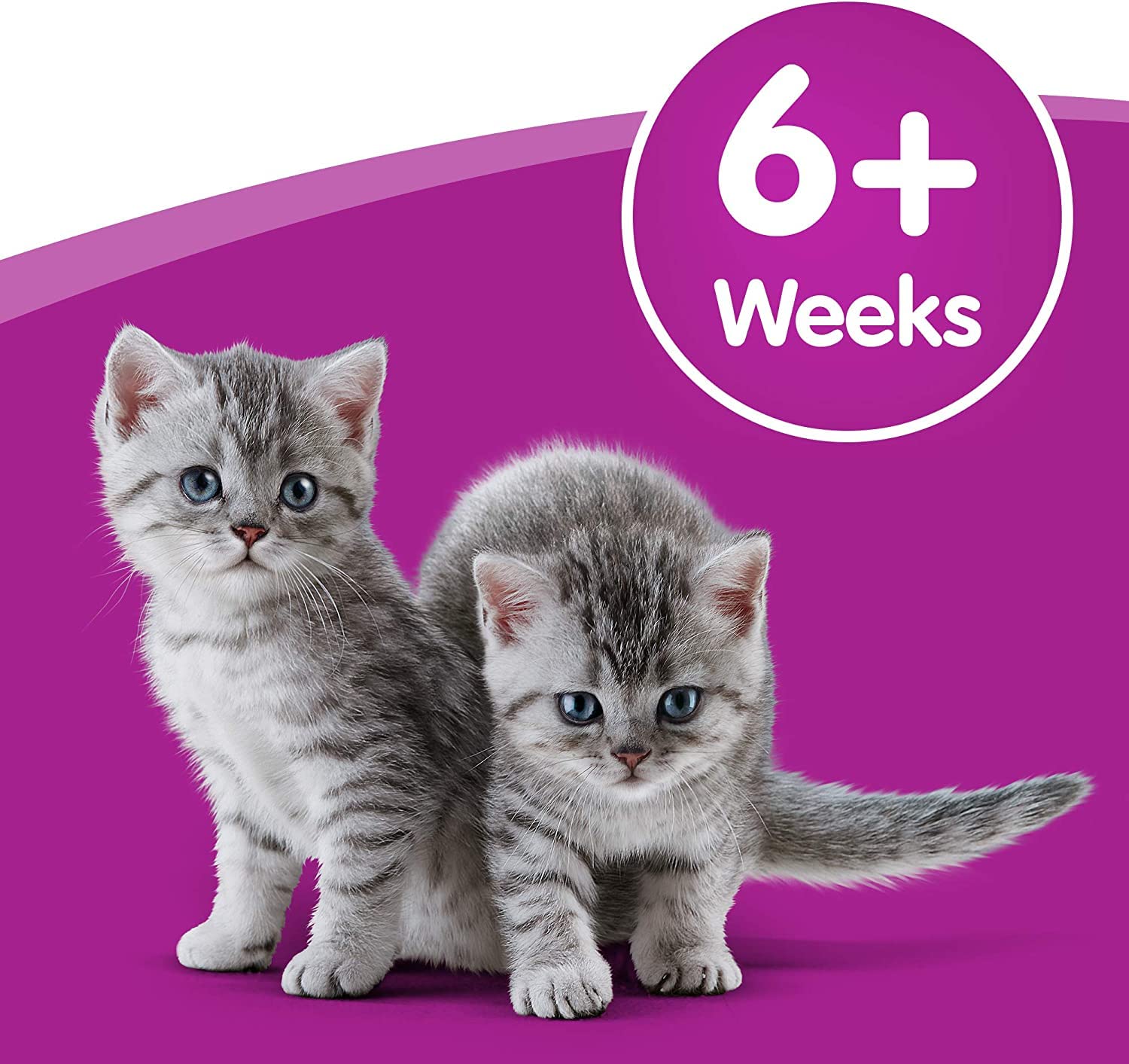 Whiskas Cat Milk for Kittens - 15 Pack of 200ml Bottles | Complementary Wet Cat Food for Kittens 6+ Weeks | Perfect for Weaning, Hydration & Nutrition