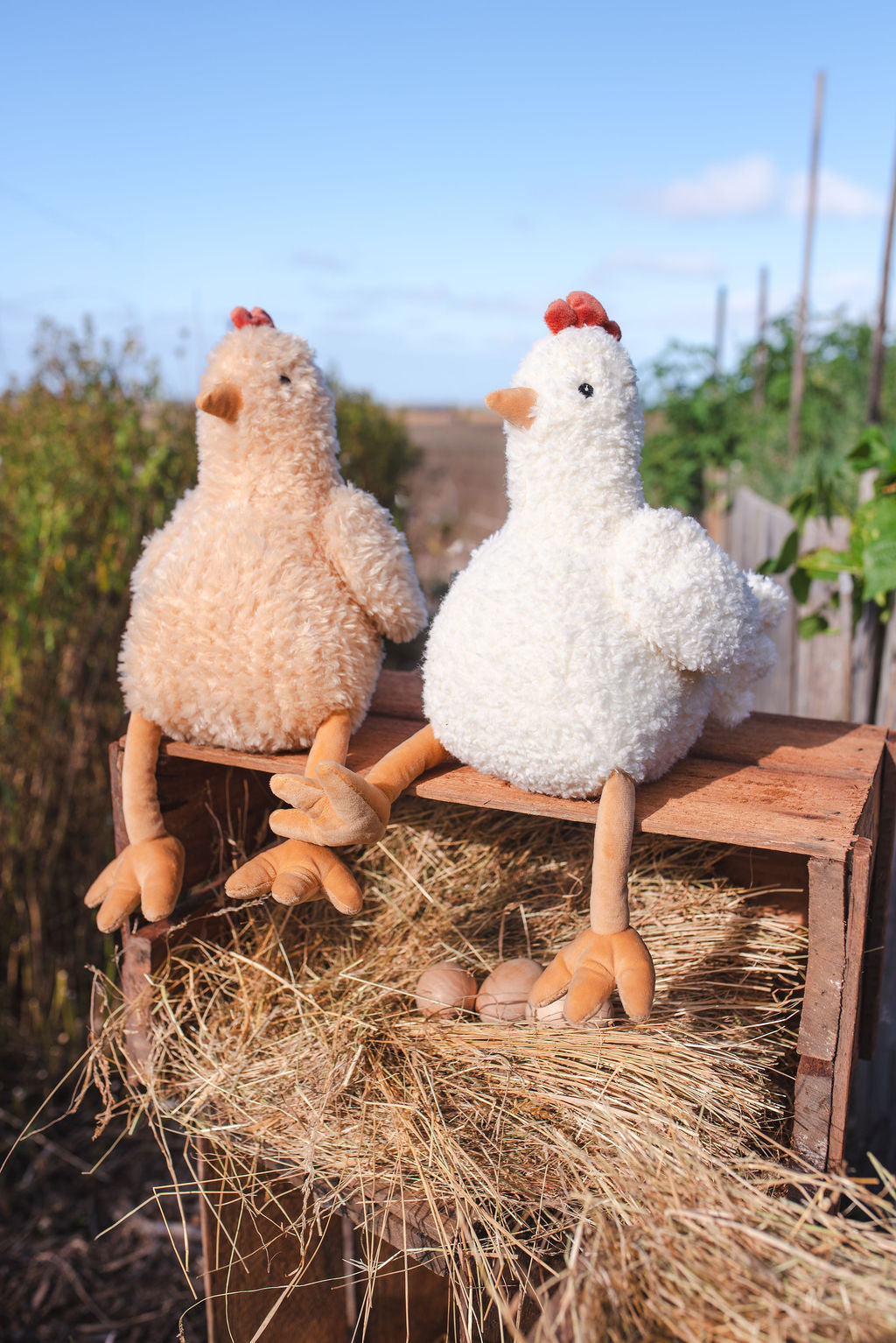 Harriet & Henrietta the Hens Set - Adorable Chicken Figurines for Farmhouse Decor, Collectible Animal Statues - Perfect for Home, Garden, and Farm Themed Displays