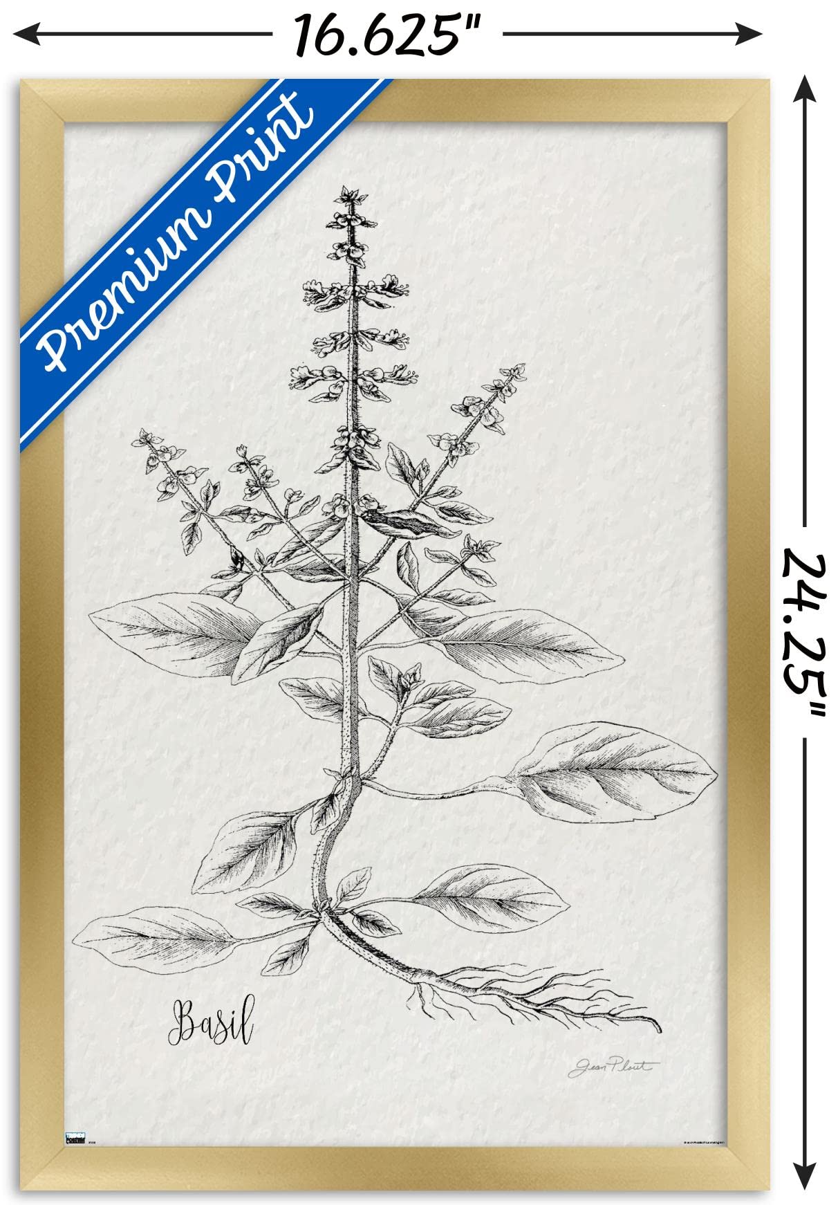 Trends International Jean Plout - Botanical Studies Wall Art Poster, 14.725