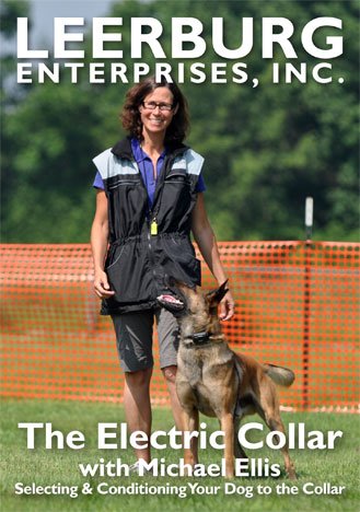 Michael Ellis Electric Training Collar for Dogs - Remote Control, Rechargeable, Waterproof - Perfect for Obedience Training & Behavior Correction at Home or Outdoors