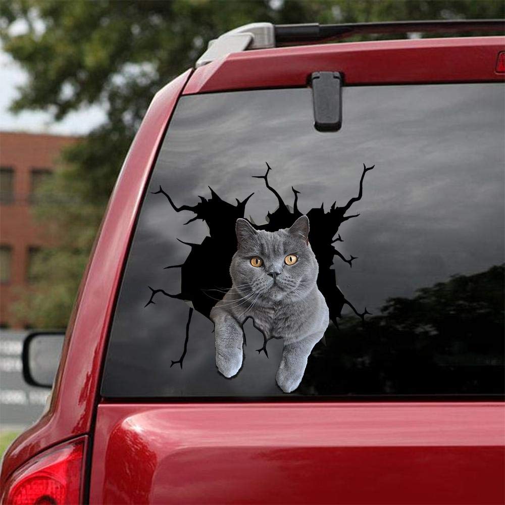 British Shorthair Cat Car Decals - Pack of 2 Large 10