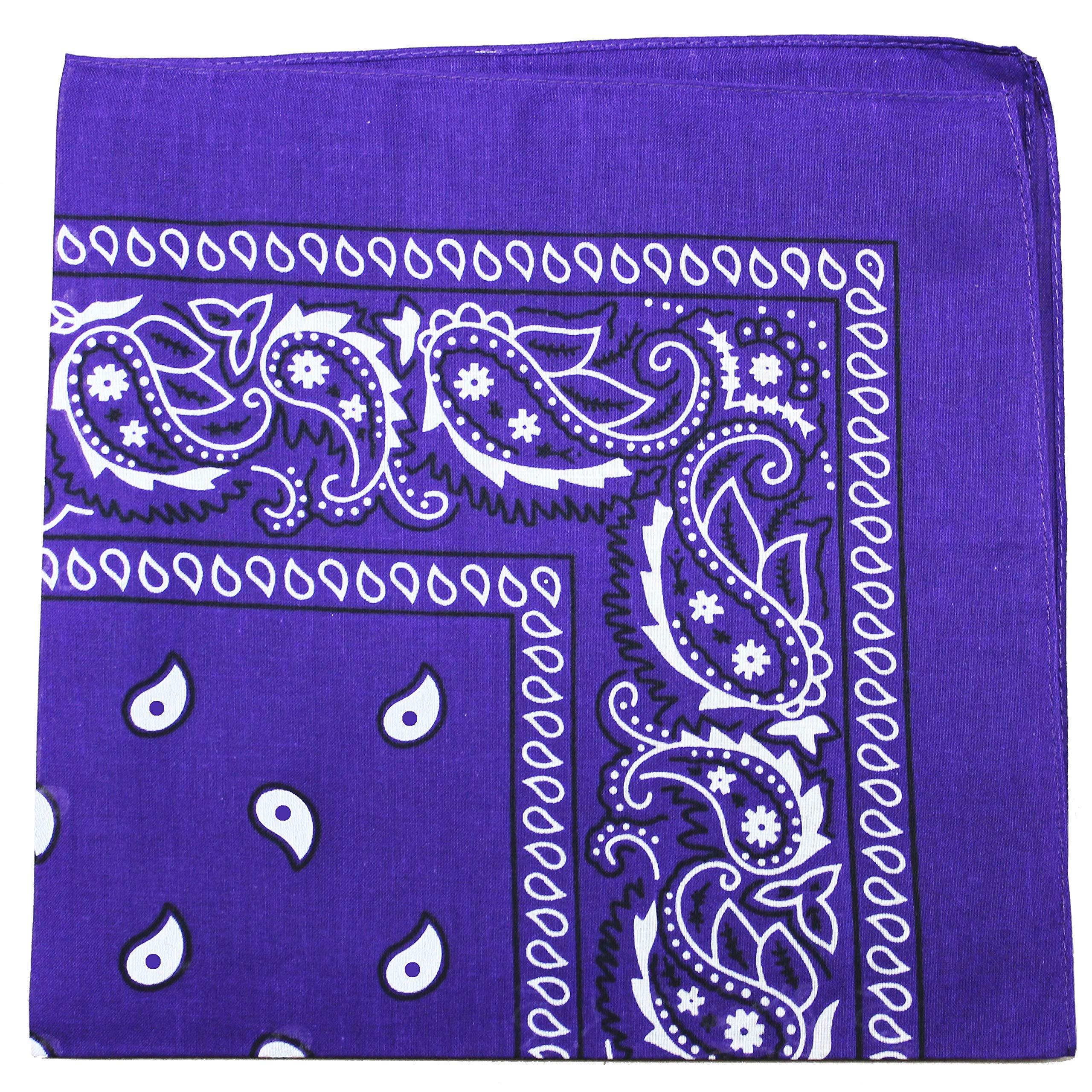 96-Pack Double-Sided Cotton Paisley Bandanas - Bulk for Outdoor & Crafts