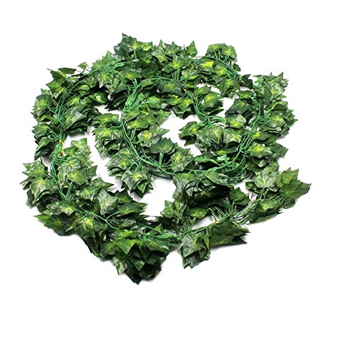 12pcs Ivy