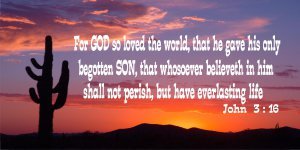 John 3:16 Bible Verse Desert Sunset Photo License Plate - Religious Car Accessory for Christian Drivers & Faith-Based Vehicle Decoration