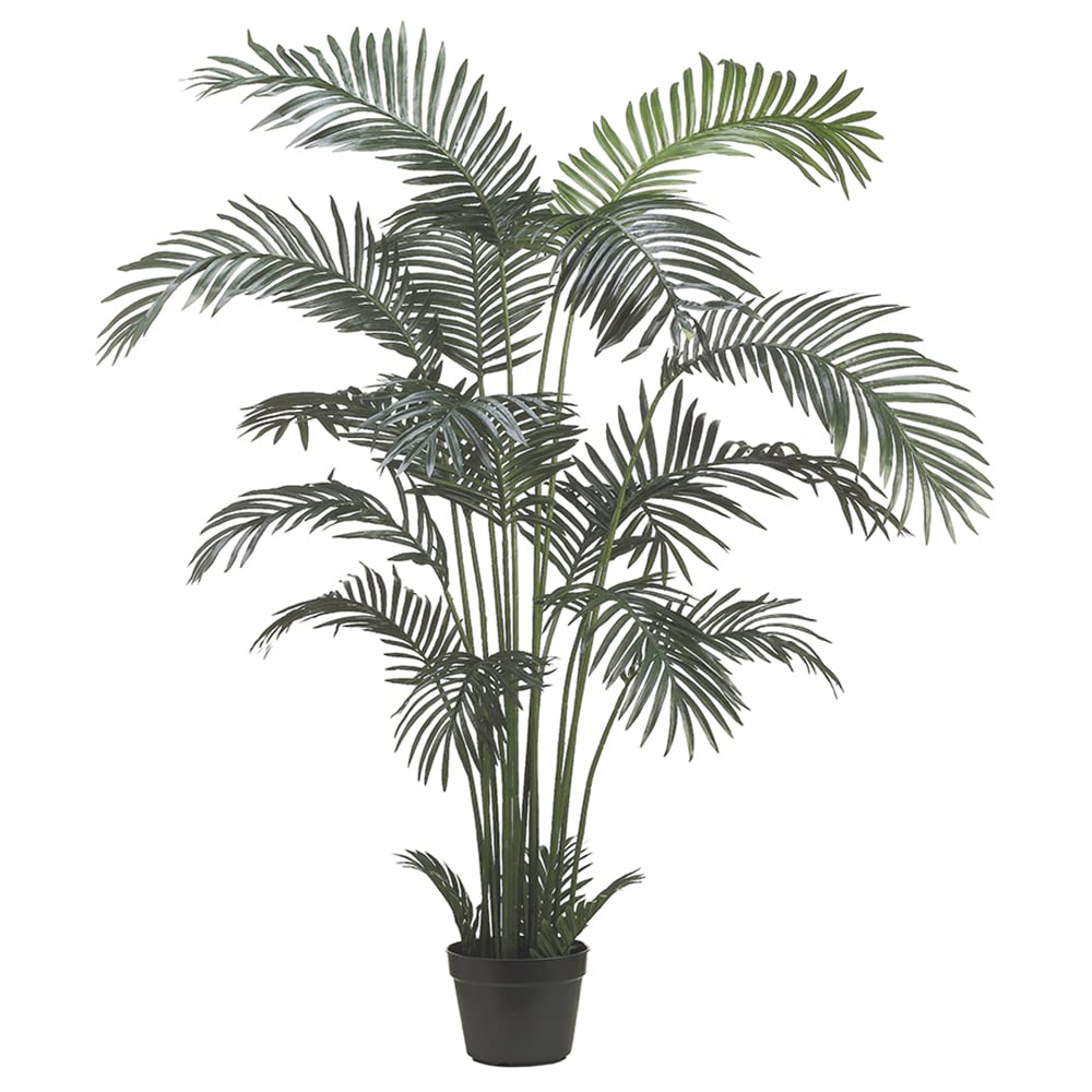 6' Areca Palm Tree in 18-Inch Plastic Pot - Pack of 2 Indoor Tropical Plants for Home, Office & Garden Decor