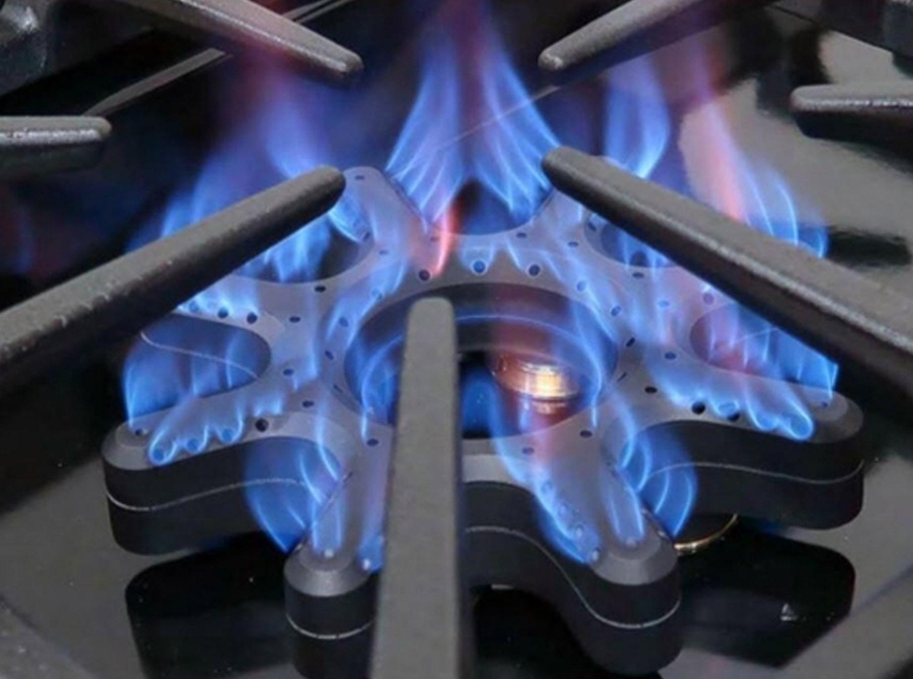 Bluestar BSDF6010B 60-Inch Professional Dual Fuel Range - Gas Stove & Electric Oven for Home Chefs & Commercial Kitchens | Perfect for Baking, Roasting & High-Heat Cooking