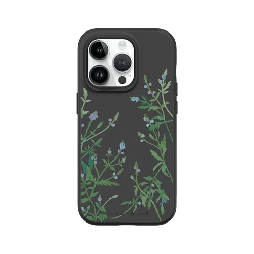 Verbena