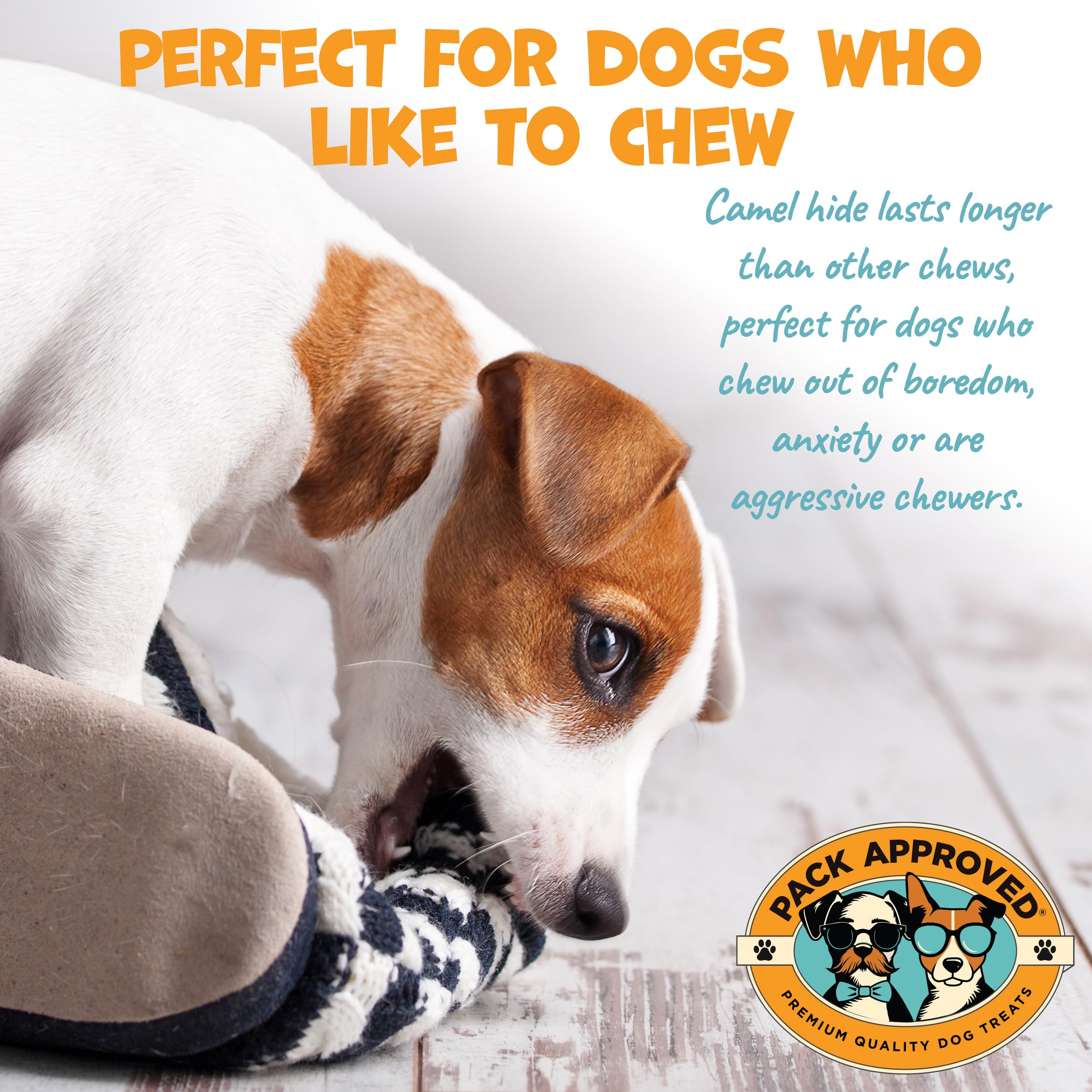 Premium Camel Skin Dog Chews for Aggressive Chewers - Natural Hypoallergenic Collagen Dental Sticks for Small & Medium Dogs - Long-Lasting Protein Treats for Teeth Cleaning & Joint Health - Perfect for Training Rewards and Anxiety Relief