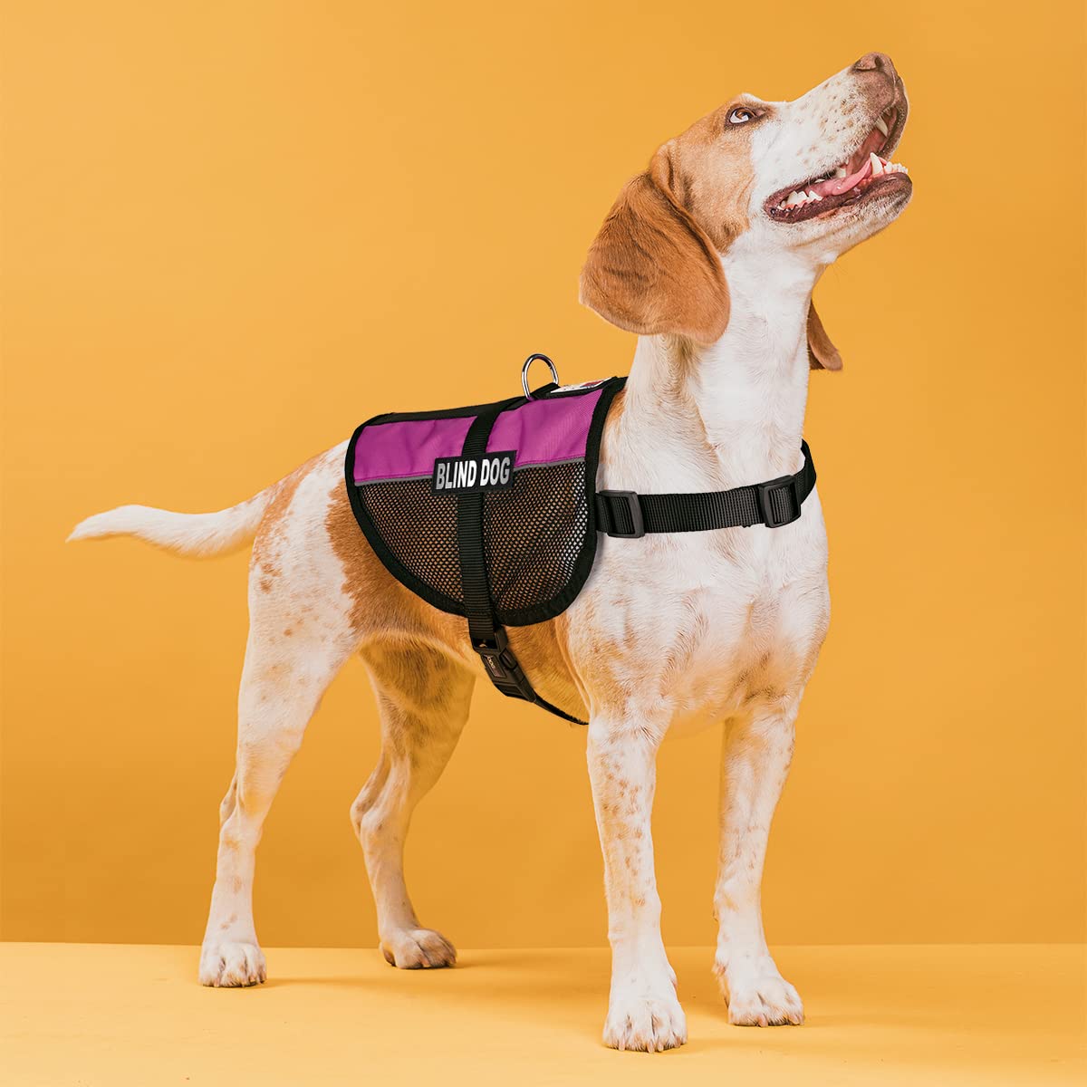 Dogline MaxAire Mesh Vest for Dogs - Breathable Cooling Dog Vest with 2 Removable Blind Patches, Adjustable 30