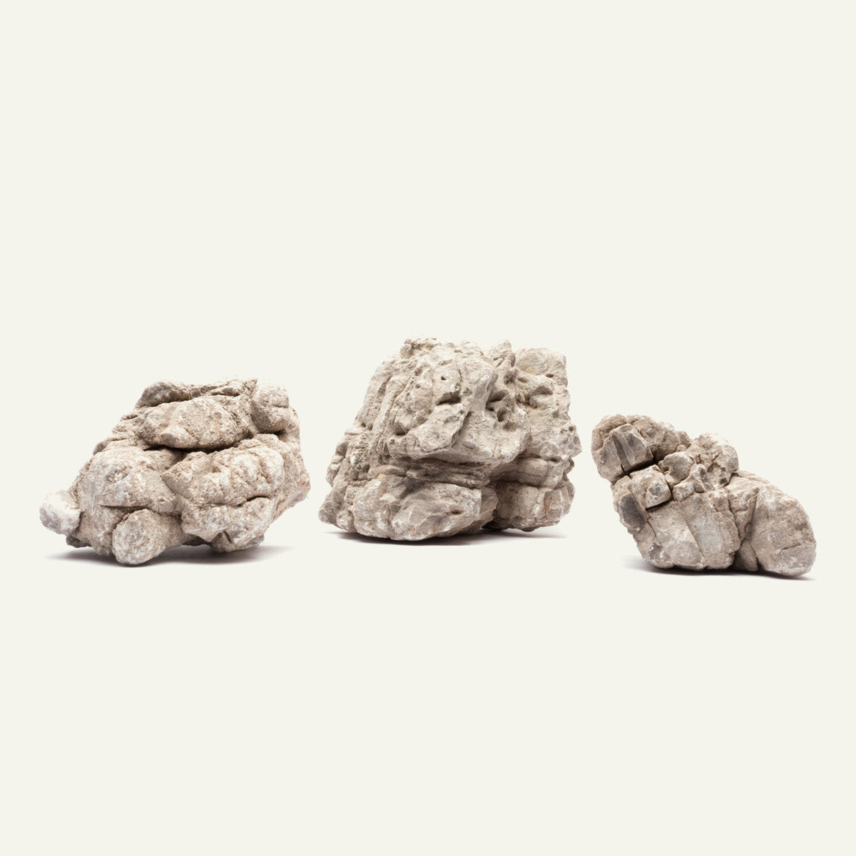 Elephant Skin Stone - Natural Decorative Rock for Landscaping, Zen Gardens & Home Decor | Durable & Unique Outdoor & Indoor Use
