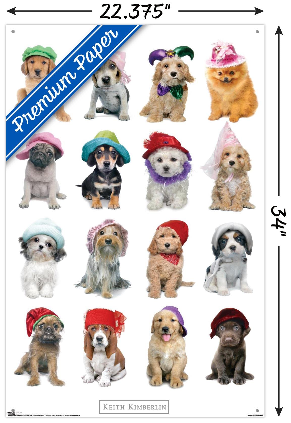 Keith Kimberlin - Puppies With Hats Wall Poster with Push Pins | Cute Dog Art Print for Home & Office Decor | Perfect for Living Room, Bedroom, Nursery, or Gift