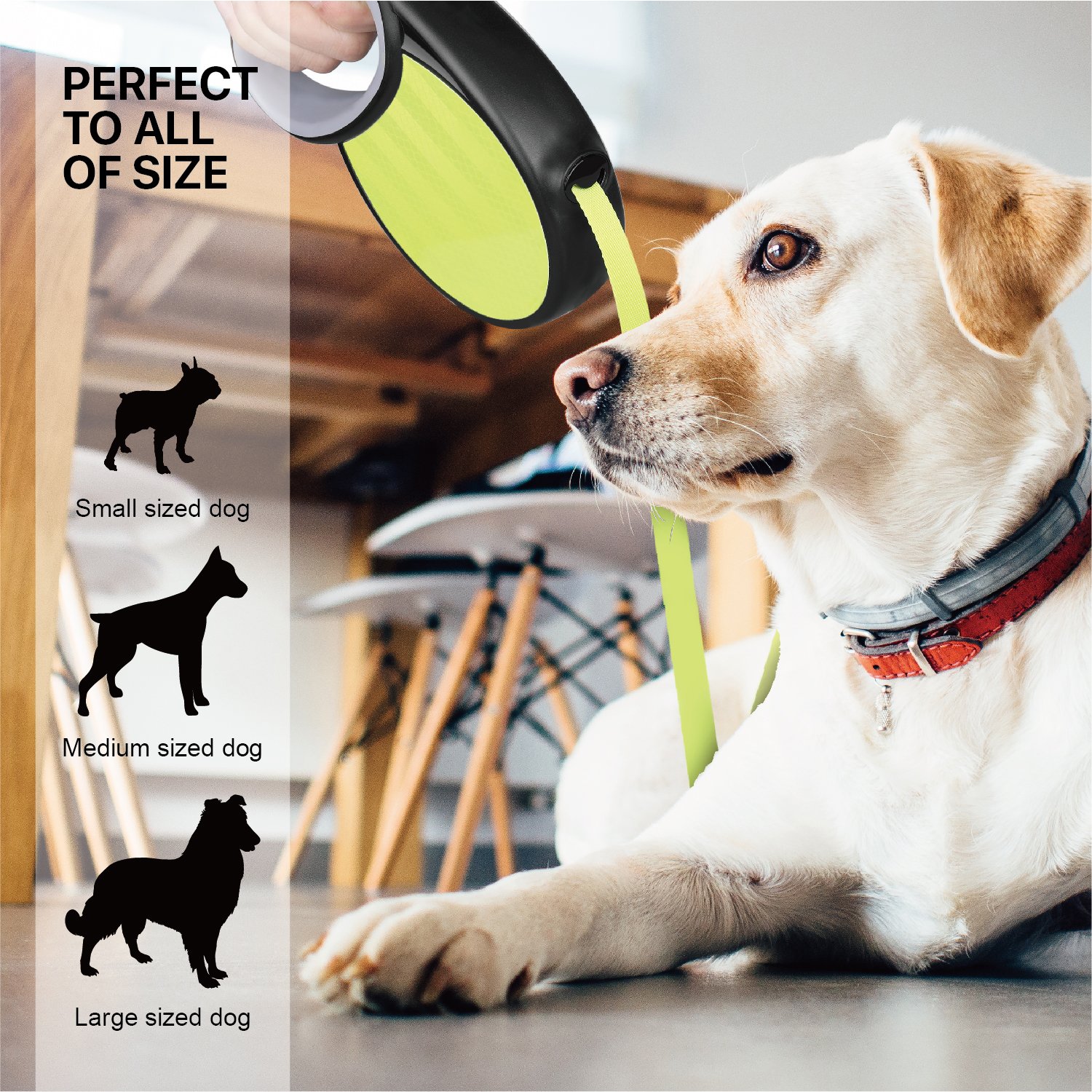 **Flexzion 16ft Retractable Dog Leash for Small & Medium Dogs - Heavy Duty Anti-Tangle Reflective Extendable Leash with Lock Button, Neon Green & Black - Perfect for Night Walks & Outdoor Safety**    *(Use Case: Ideal for evening walks, jogging, or hiking with your pet, ensuring visibility and control in low-light conditions.)*