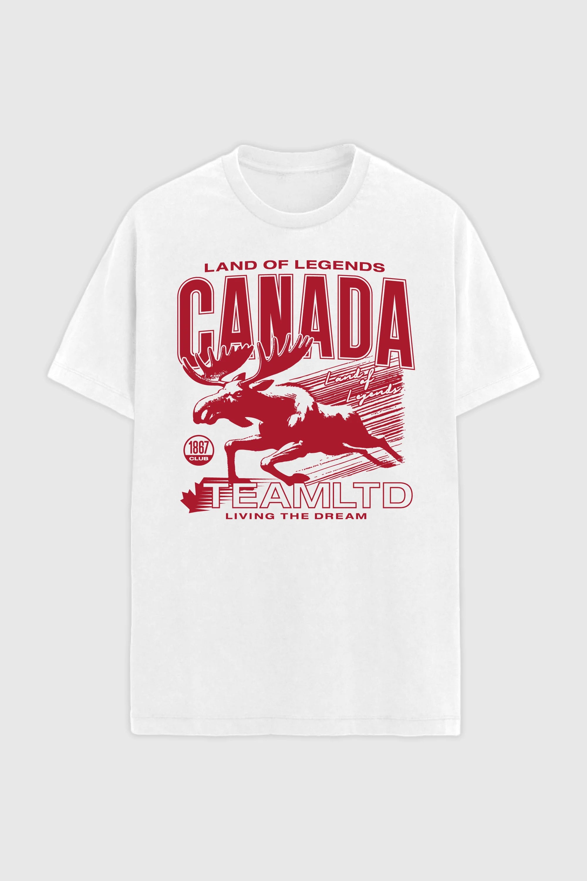 Youth Land of Legends Graphic T-Shirt for Boys & Girls | Soft Cotton Tee | Trendy Casual Wear for School, Outings & Gaming