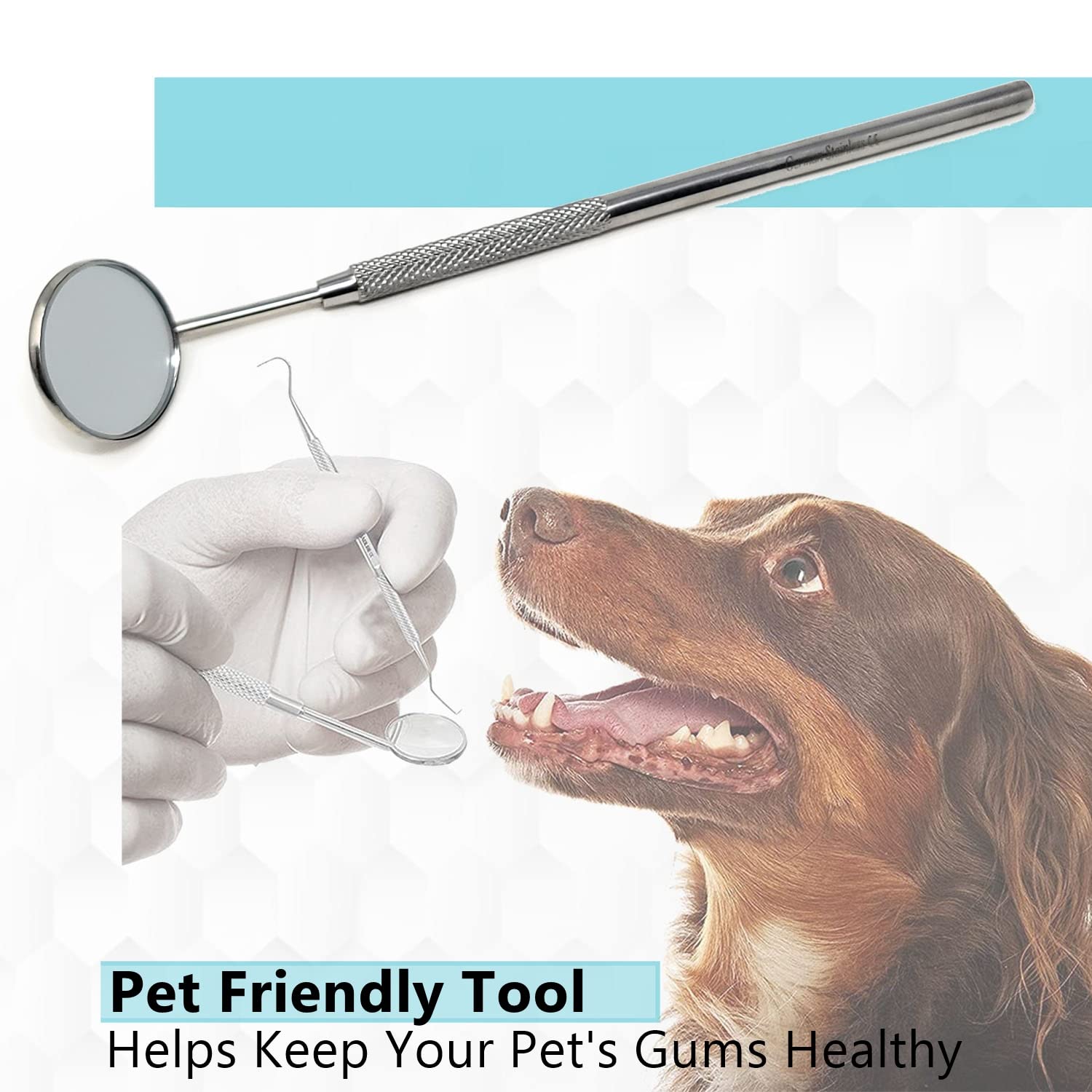 Dental Mouth Mirror #5 - Stainless Steel Handle, Cone Socket, 6.5