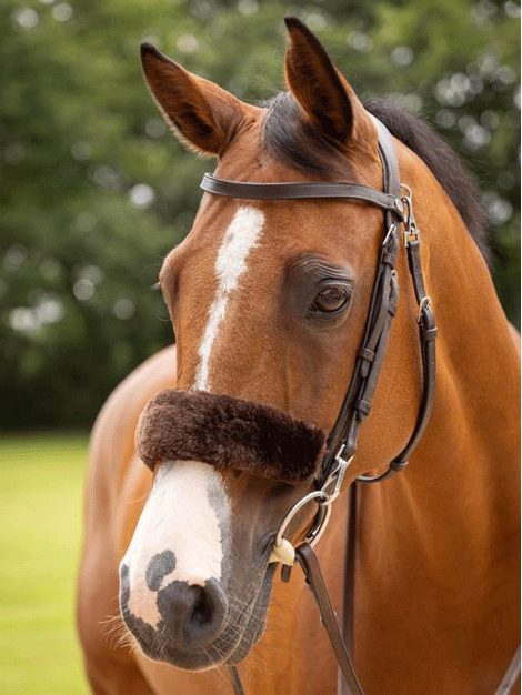 Simuwool Noseband Cover for Horses - Breathable & Comfortable Fleece Liner - Perfect for Riding, Training, and Show Jumping