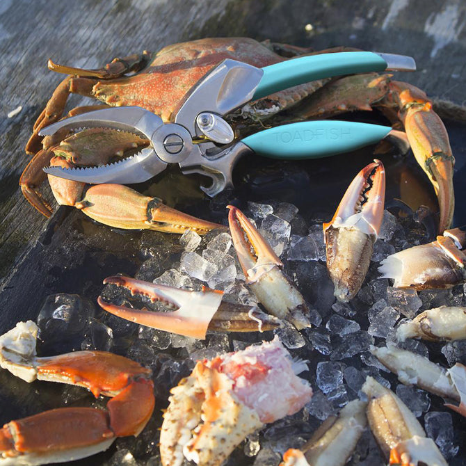 Toadfish Outfitters Premium Stainless Steel Crab Claw Cutter - Heavy Duty Seafood Shell Cracker for Crab, Lobster & Shellfish - Perfect for Beach Picnics, Seafood Boils & Outdoor Cooking